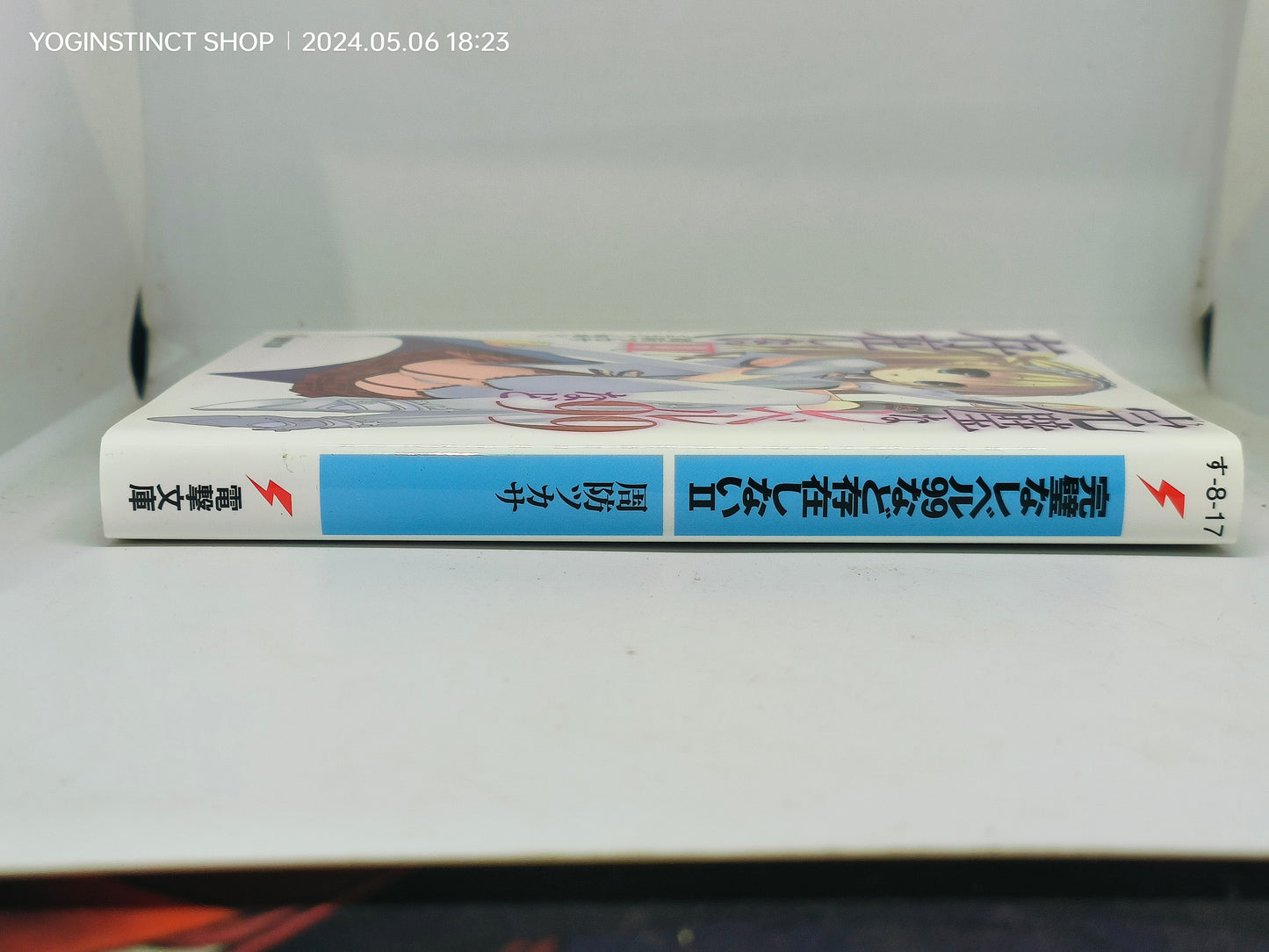 There is no such thing as a perfect level 99 II
Author: Tsukasa Suo Illustration: Iku Akesaka 8-17