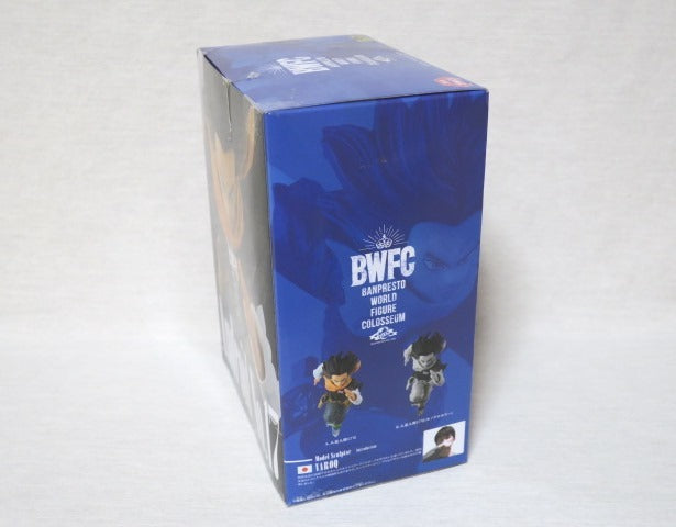 BWFC android no 17